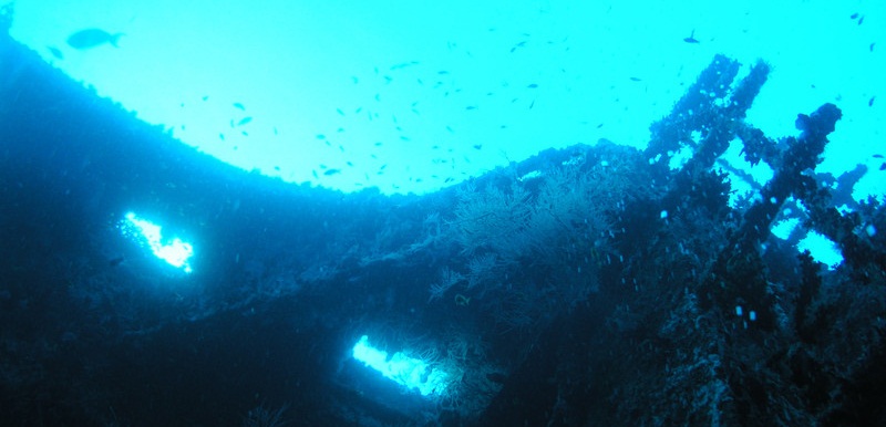 A sunken boat in the bottom of the sea.