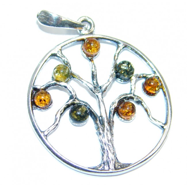 Perfect Family Tree Baltic Polish Amber Sterling Silver Pendant / Brooch
