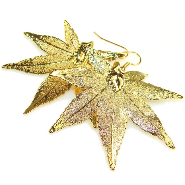 Real! Japanese Maple Leaves Dipped In 24K Gold Sterling Silver earrings