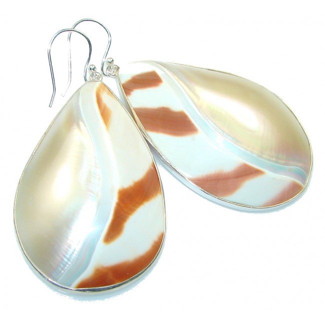 Large! Stylish Silver Shell Sterling Silver earrings