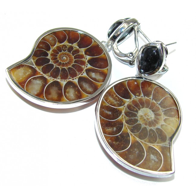 Stunning! Shell Ammonite Fossil & Onyx Sterling Silver earrings