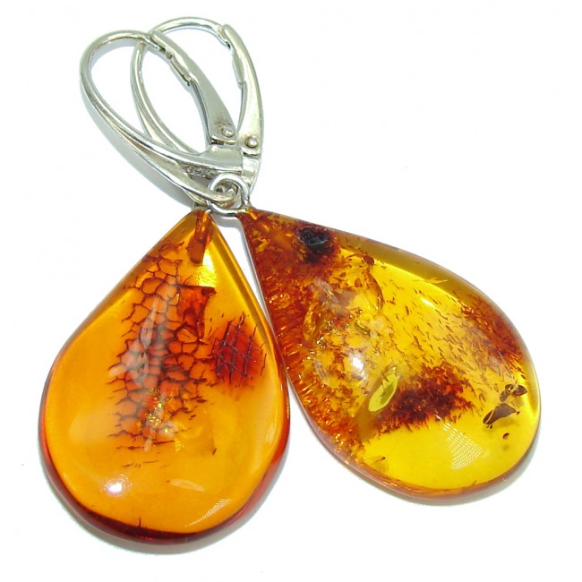 Amazing Baltic Polish Amber Sterling Silver Earrings