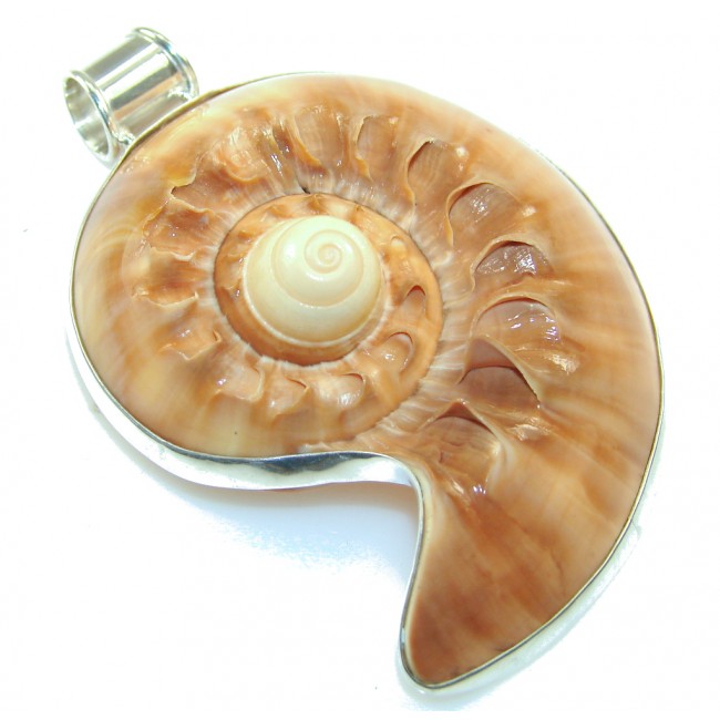 Big!! Excellent Brown Ocean Shell Sterling Silver Pendant