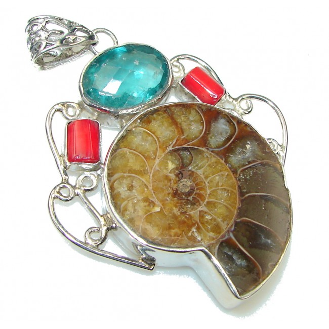 Big! Excellent Shell Ammonite Fossil Sterling Silver Pendant