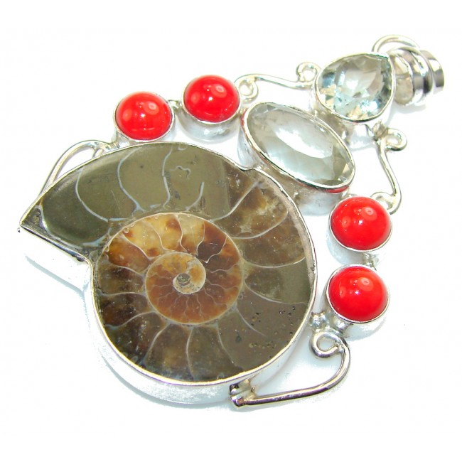 Excellent Ammonite Fossil Sterling Silver Pendant