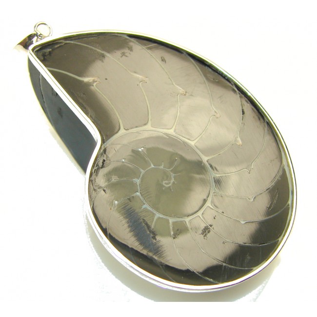 Big!!Natural Beauty!! Ocean Shell Sterling Silver Pendant