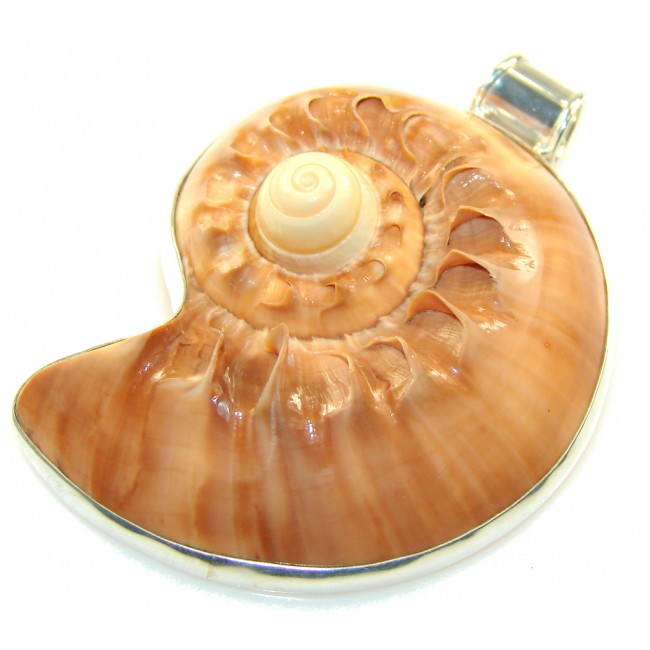 Big!! Excellent Brown Ocean Shell Sterling Silver Pendant