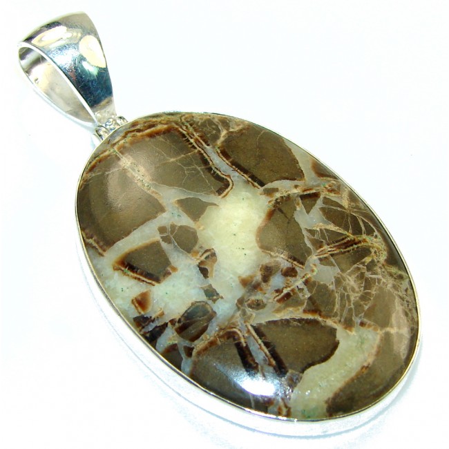Classy Pietriefied Wood Sterling Silver Pendant