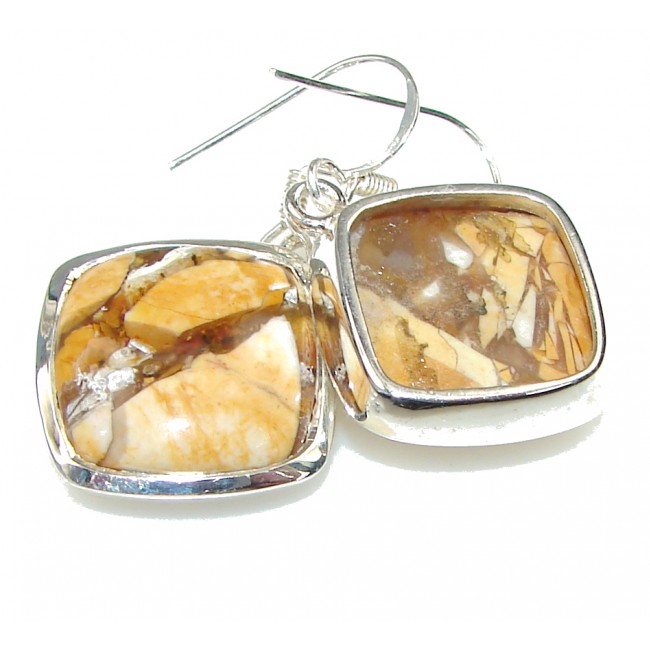 Perfect! Burro Creek Jasper Sterling Silver earrings