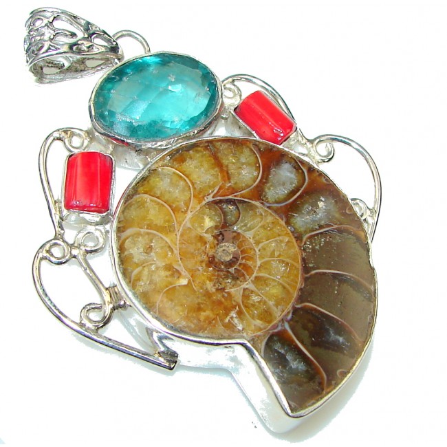 Big! Excellent Shell Ammonite Fossil Sterling Silver Pendant