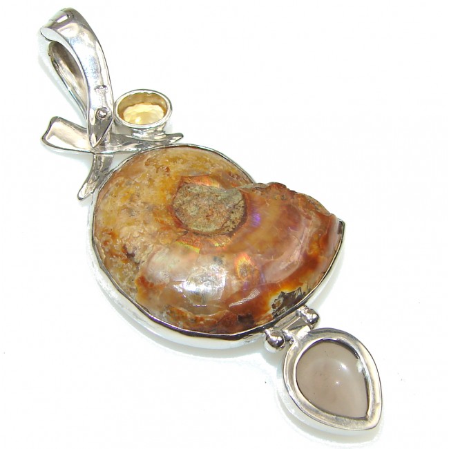Fabulous! Brown Shell Ammonite Fossil Sterling Silver Pendant