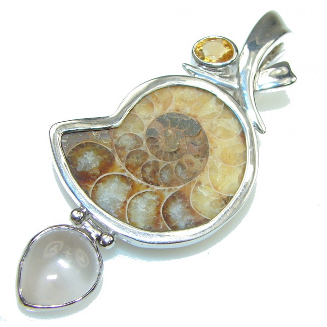Fabulous! Brown Shell Ammonite Fossil Sterling Silver Pendant