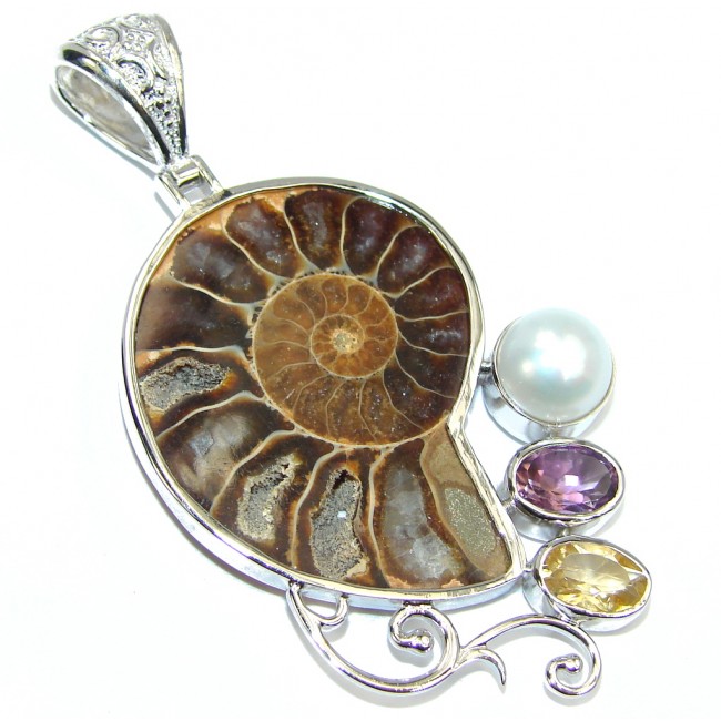 Secret Beauty Brown Ammonite Fossil Sterling Silver Pendant
