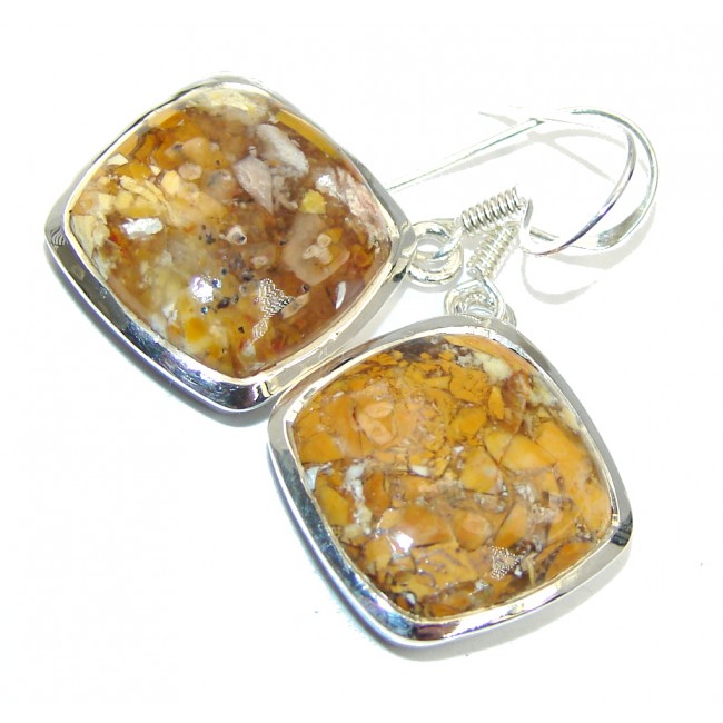 Fabulous Burro Creek Jasper Sterling Silver earrings