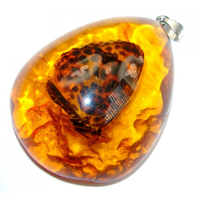 Large Copal with genuine Butterfly Inclusion Sterling Silver Pendant