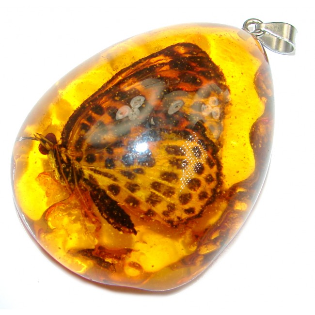 Large Copal with genuine Butterfly Inclusion Sterling Silver Pendant