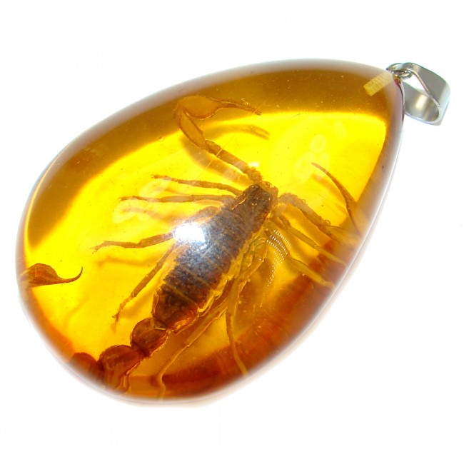 Large Copal with genuine Scorpio Inclusion Sterling Silver Pendant