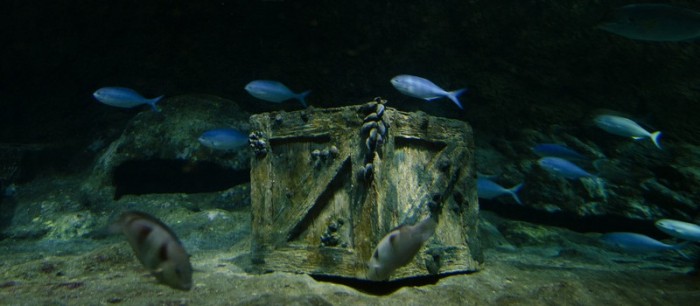 A sunken treasure box in the bottom of the Ocean.