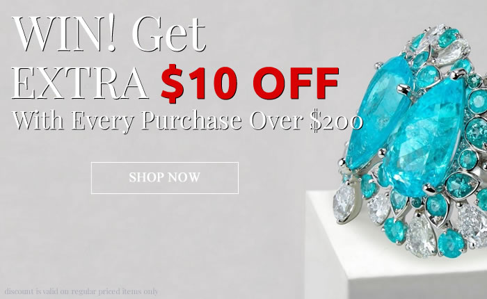 Get Extra $10 OFF with Every Purchase
