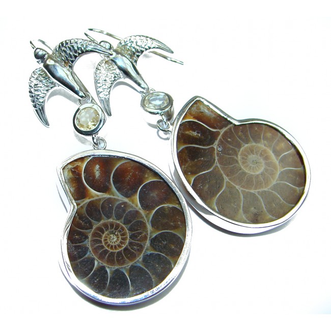 Freedom Handcrafted Ammonite Fossil .925 Sterling Silver earrings