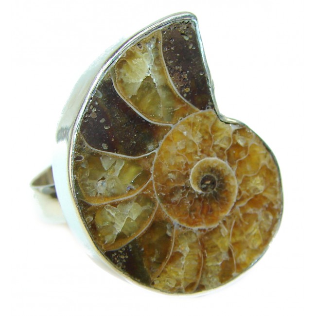 Stylish Brown Ammonite Fossil Sterling Silver Ring s. 7 3/4