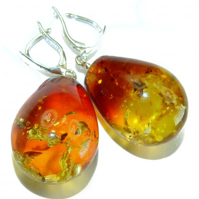 Huge Golden Honey Drops Baltic Polish Amber .925 Sterling Silver earrings