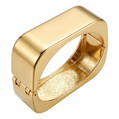 Precious Modern Women Hinge Bangle bracelet