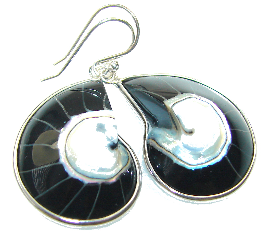 Ocean Shell Brass Earrings