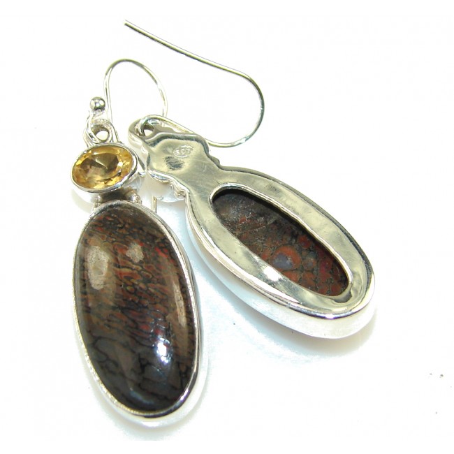 Natural Beauty!! Montana Agate Silver Sterling earrings