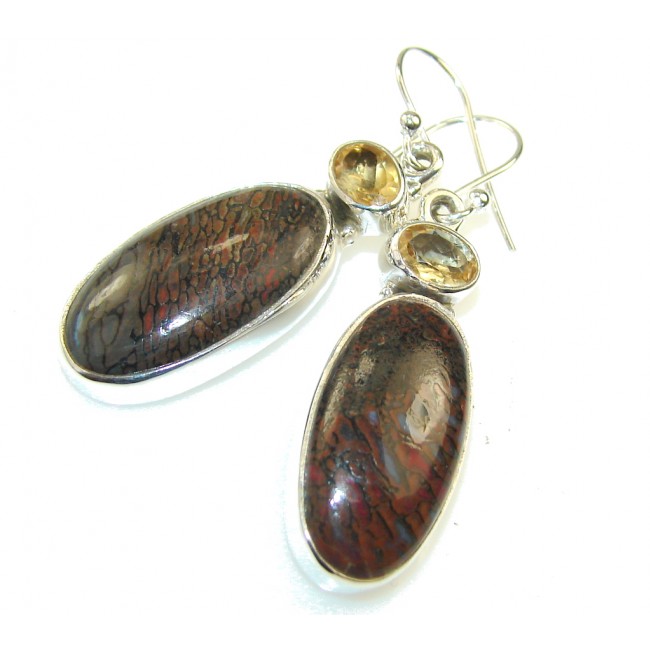 Natural Beauty!! Montana Agate Silver Sterling earrings
