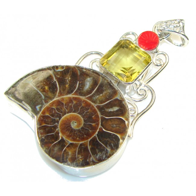Big! Stylish Design!! Ammonite Fossil Sterling Silver Pendant