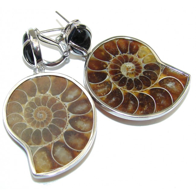 Stunning! Shell Ammonite Fossil & Onyx Sterling Silver earrings