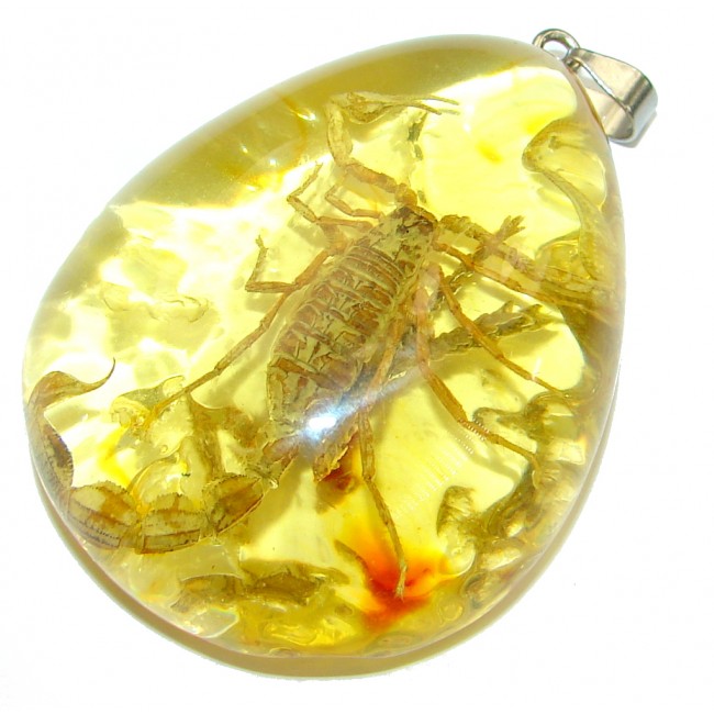 Large created Copal with genuine Scorpio Inclusion .925 Sterling Silver Pendant