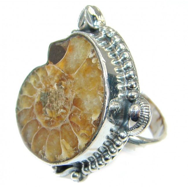 Stylish Brown Ammonite Fossil .925 Sterling Silver Ring s. 7