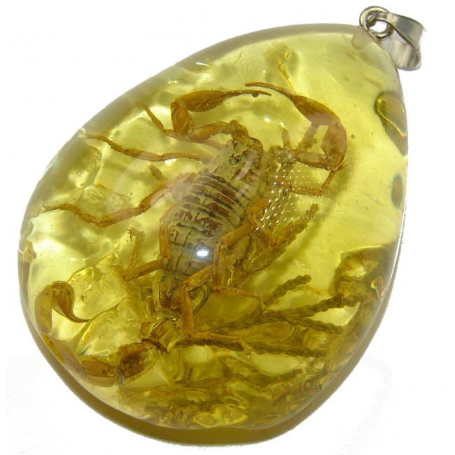 Large Copal with genuine Scorpio Inclusion .925 Sterling Silver Pendant