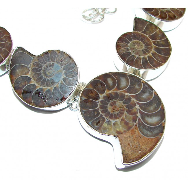 90.5g Aura Of Beauty genuine Ammonite .925 Sterling Silver handcrafted Necklace
