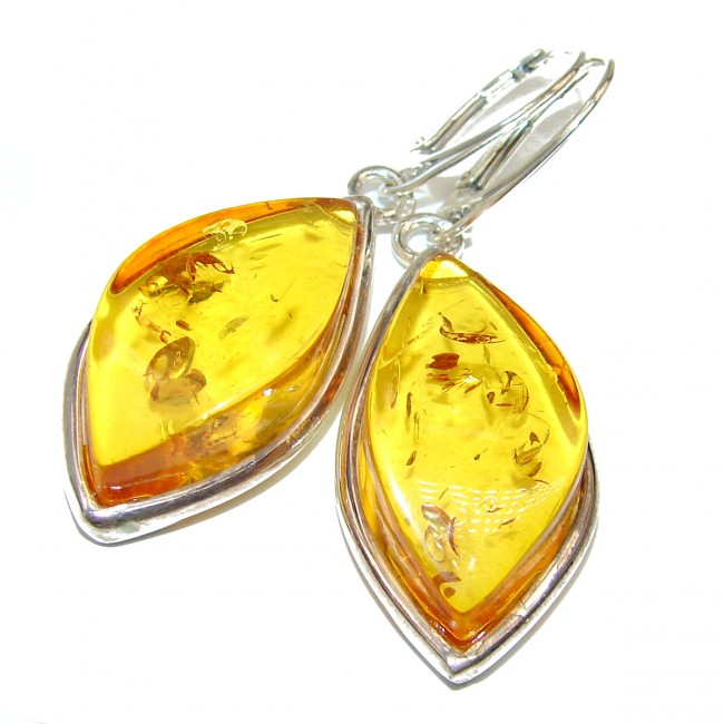 Baltic Polish Amber .925 Sterling Silver Earrings