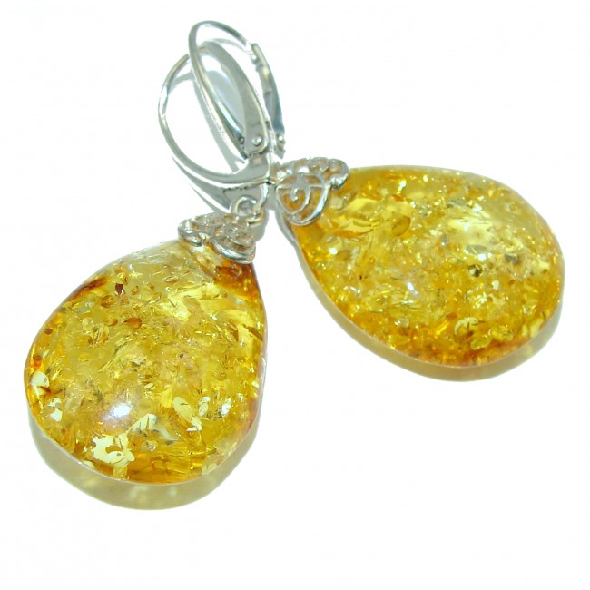 Huge Golden Baltic Amber .925 Sterling Silver earrings