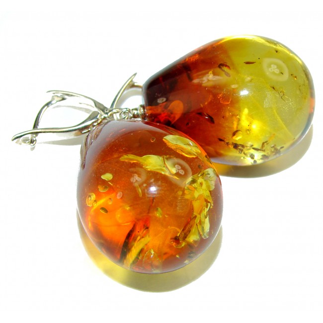 Huge Honey Drops Baltic Polish Amber .925 Sterling Silver earrings
