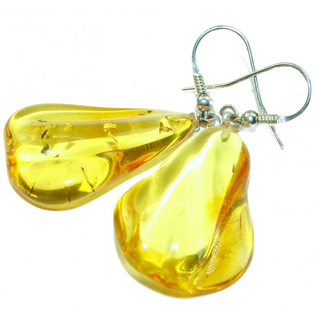 Large Golden Drops Butterscotch Baltic Polish Amber .925 Sterling Silver earrings