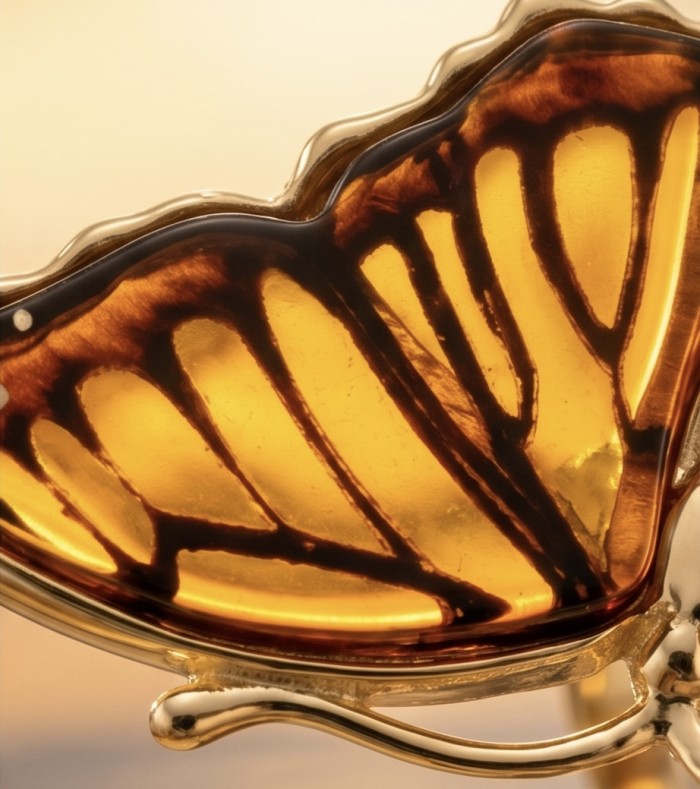 Butterfly Authentic Baltic Amber .925 Sterling Silver dipped in 18K Gold handcrafted ring; s. 6 adjustable - Close-up of butterfly wing in amber and silver jewelry.