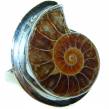 Stylish Brown Ammonite Fossil Sterling Silver Ring s. 7