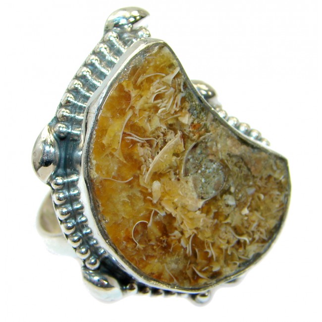 Stylish Brown Ammonite Fossil Sterling Silver Ring s. 10 3/4