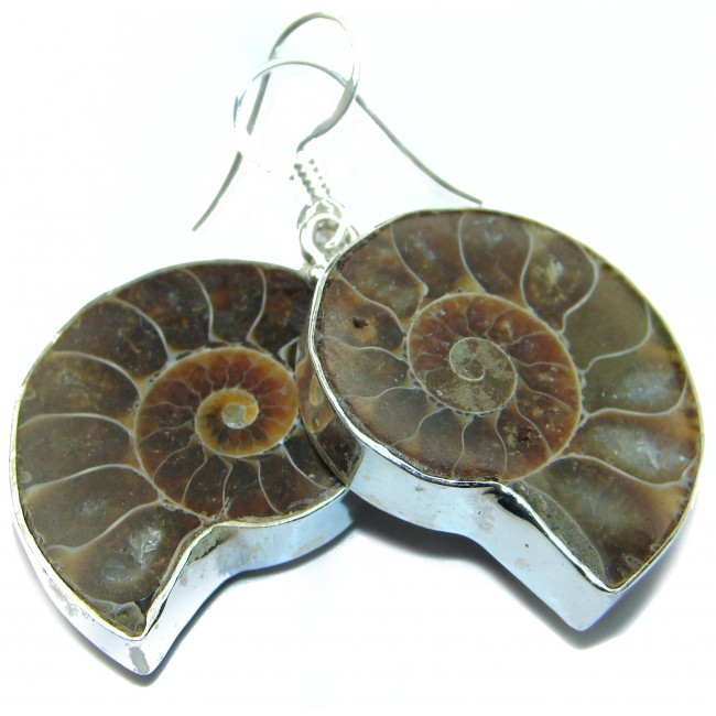 Handcrafted Ammonite Fossil .925 Sterling Silver earrings