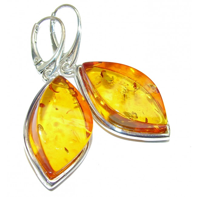 Huge Baltic Polish Amber .925 Sterling Silver earrings