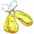 Large Golden Drops Butterscotch Baltic Polish Amber    .925 Sterling Silver earrings