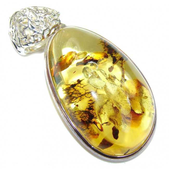 Mystery Central! AAA Baltic Polish Amber Sterling Silver Pendant