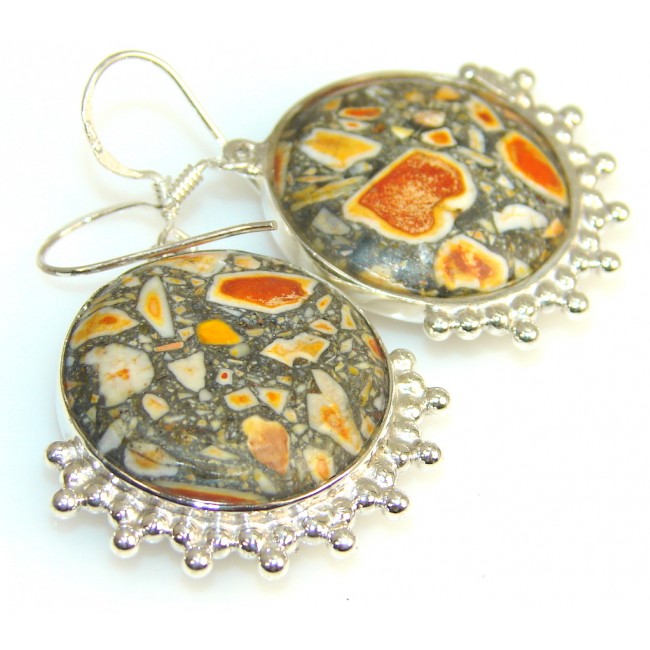 Dazzling Crinoid Fossil Sterling Silver earrings