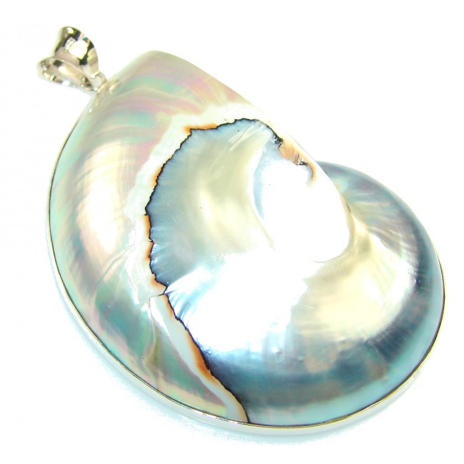 Big!!Natural Beauty!! Ocean Shell Sterling Silver Pendant