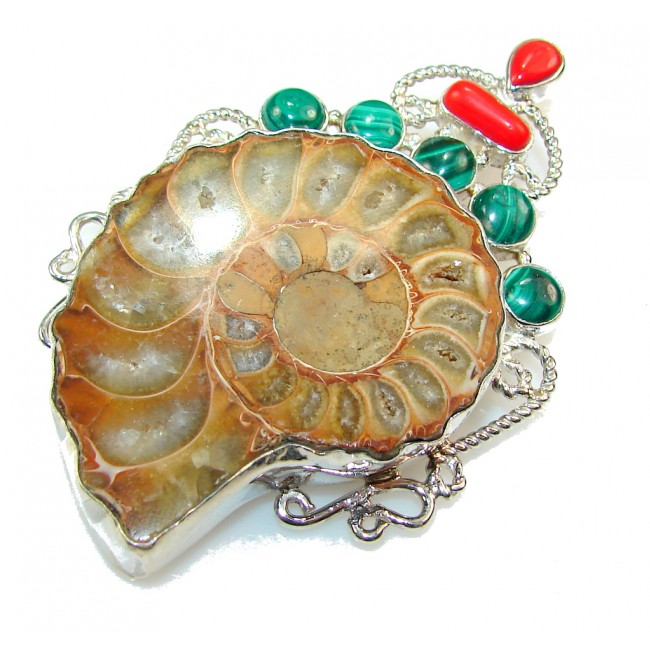 Big!! Excellent Ammonite Fossil Sterling Silver Pendant